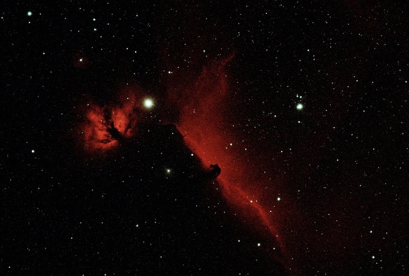 Flame and Horsehead Nebula-W1NGA-800.jpg